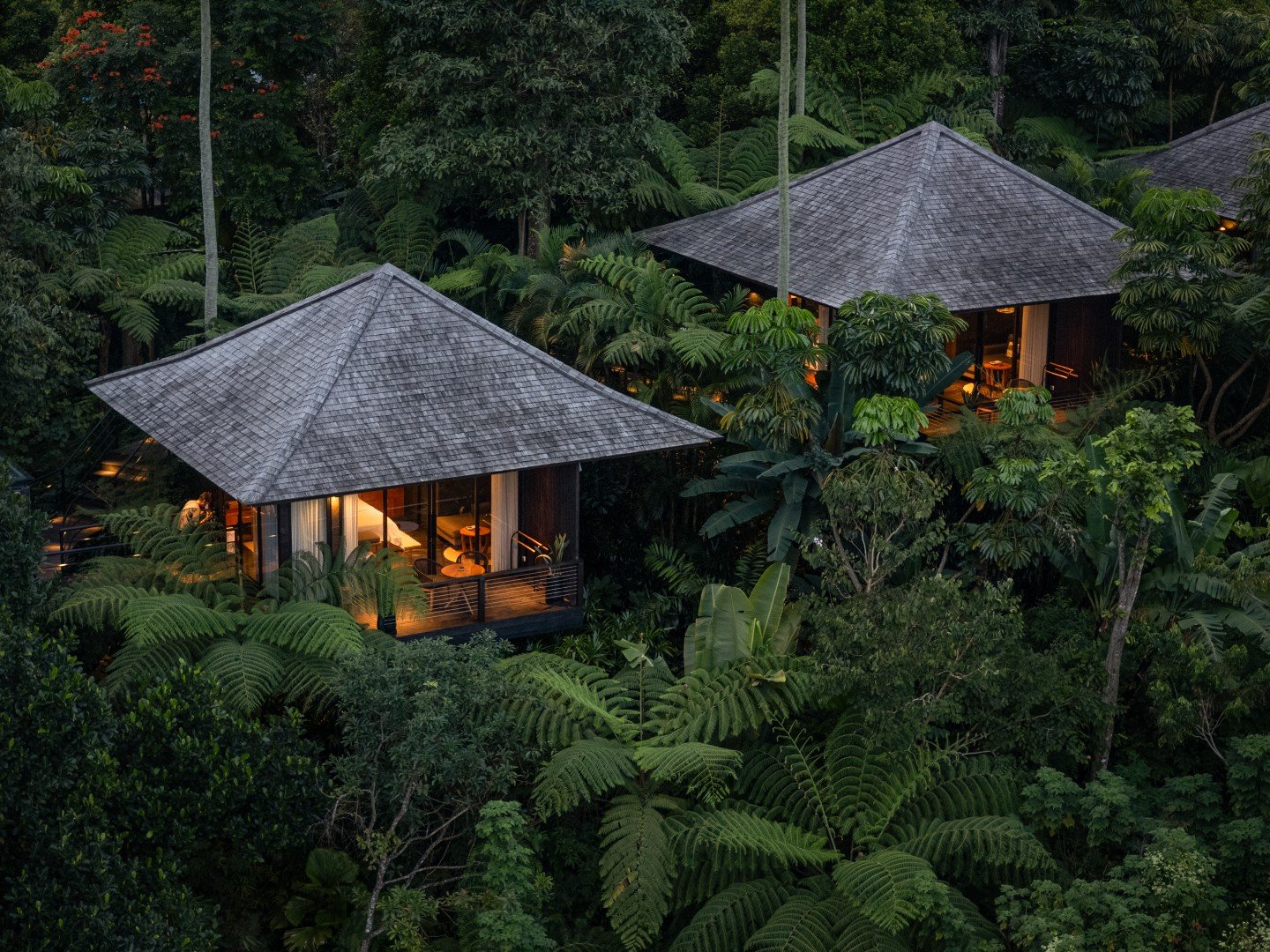 Munduk Cabins from the air, on the hillside above the valley