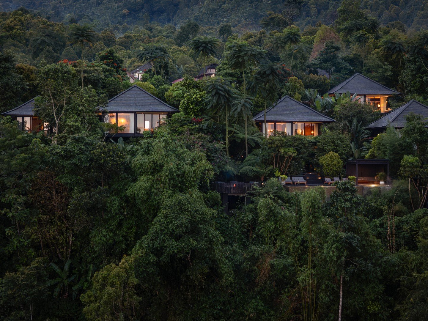 Munduk Cabins from the air, on the hillside above the valley