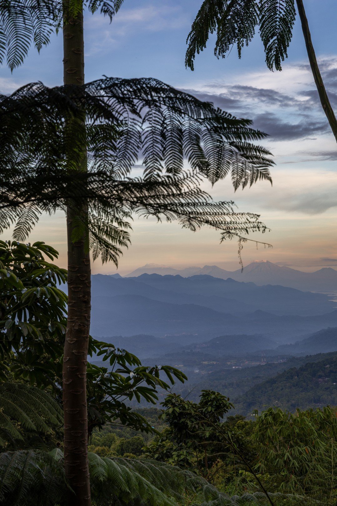 The view north-west from Munduk Cabins over jungle, sea and volcanoes